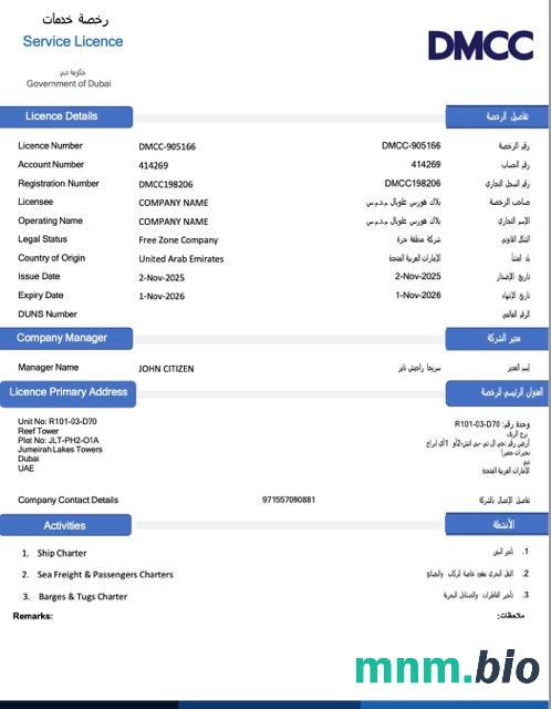 UAE Dubai service license Word i szablon PDF